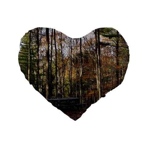 Pa Grand Canyon East Rim Trees 8 Standard 16  Premium Heart Shape Cushion  from ArtsNow.com Front