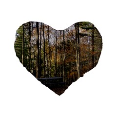 Pa Grand Canyon East Rim Trees 8 Standard 16  Premium Heart Shape Cushion  from ArtsNow.com Front