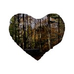 Pa Grand Canyon East Rim Trees 8 Standard 16  Premium Heart Shape Cushion 