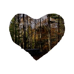 Pa Grand Canyon East Rim Trees 8 Standard 16  Premium Heart Shape Cushion  from ArtsNow.com Back