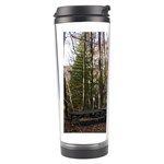Pa Grand Canyon East Rim Trees 8 Travel Tumbler