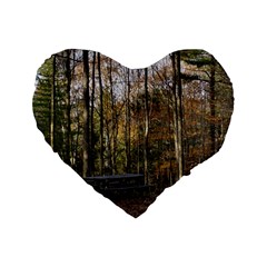 Pa Grand Canyon East Rim Trees 8 Standard 16  Premium Flano Heart Shape Cushion  from ArtsNow.com Front