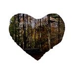 Pa Grand Canyon East Rim Trees 8 Standard 16  Premium Flano Heart Shape Cushion 