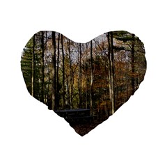 Pa Grand Canyon East Rim Trees 8 Standard 16  Premium Flano Heart Shape Cushion  from ArtsNow.com Back