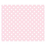 Polka Dots - White on Piggy Pink Double Sided Flano Blanket (Small)