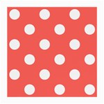 Polka Dots - White on Pastel Red Medium Glasses Cloth (2 Sides)