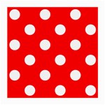 Polka Dots - White on Red Medium Glasses Cloth (2 Sides)