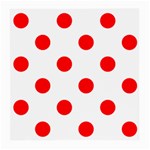 Polka Dots - Red on White Medium Glasses Cloth