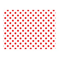 Polka Dots 35 x27  Blanket Back
