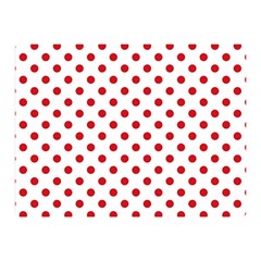 Polka Dots 35 x27  Blanket Back