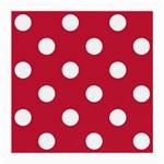 Polka Dots - White on Cardinal Red Medium Glasses Cloth