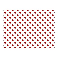 Polka Dots 35 x27  Blanket Back