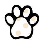 Polka Dots - Champagne Orange on White Magnet (Paw Print)
