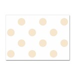 Polka Dots - Champagne Orange on White Sticker A4 (10 pack)