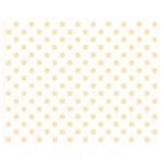 Polka Dots - Peach Orange on White Double Sided Flano Blanket (Medium)