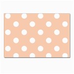 Polka Dots - White on Apricot Orange Postcard 4  x 6 