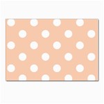 Polka Dots - White on Apricot Orange Postcard 5  x 7 