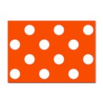 Polka Dots - White on Tangelo Orange Sticker A4 (10 pack)