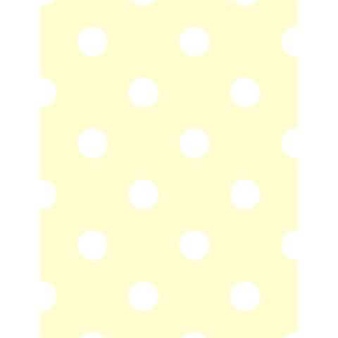 Polka Dots 4.125 x5.5  Memopad