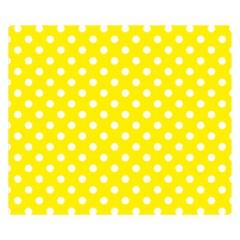 Polka Dots 50 x40  Blanket Front