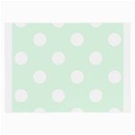 Polka Dots - White on Pale Green Large Glasses Cloth (2 Sides)