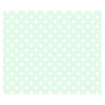 Polka Dots - White on Pale Green Double Sided Flano Blanket (Small)