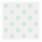 Polka Dots - Pale Green on White Medium Glasses Cloth (2 Sides)
