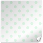 Polka Dots - Pale Green on White Canvas 20  x 20 