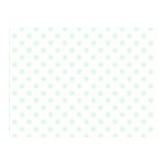 Polka Dots - Pale Green on White Double Sided Flano Blanket (Mini)