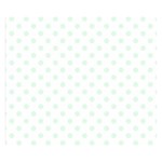 Polka Dots - Pale Green on White Double Sided Flano Blanket (Small)
