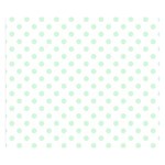 Polka Dots - Pastel Green on White Double Sided Flano Blanket (Small)