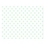 Polka Dots - Pastel Green on White Double Sided Flano Blanket (Large)