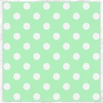 Polka Dots - White on Mint Green Canvas 20  x 20 