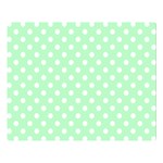 Polka Dots - White on Mint Green Double Sided Flano Blanket (Large)