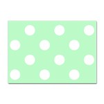 Polka Dots - White on Mint Green Sticker A4 (10 pack)
