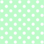 Polka Dots - White on Mint Green ScrapBook Page 12  x 12 