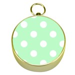 Polka Dots - White on Mint Green Gold Compass