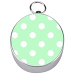Polka Dots - White on Mint Green Silver Compass