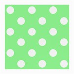 Polka Dots - White on Light Green Medium Glasses Cloth (2 Sides)