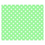 Polka Dots - White on Light Green Double Sided Flano Blanket (Small)