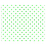 Polka Dots - Light Green on White Double Sided Flano Blanket (Small)