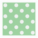 Polka Dots - White on Celadon Green Medium Glasses Cloth