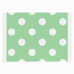 Polka Dots - White on Celadon Green Large Glasses Cloth