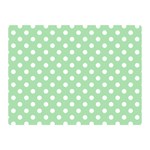 Polka Dots - White on Celadon Green Double Sided Flano Blanket (Mini)