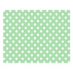 Polka Dots - White on Celadon Green Double Sided Flano Blanket (Large)