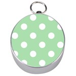 Polka Dots - White on Celadon Green Silver Compass