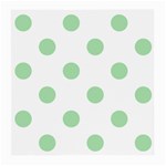Polka Dots - Celadon Green on White Medium Glasses Cloth (2 Sides)