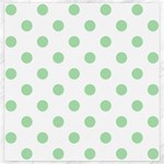 Polka Dots - Celadon Green on White Canvas 20  x 20 