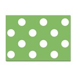 Polka Dots - White on Dollar Bill Green Sticker A4 (10 pack)