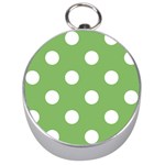 Polka Dots - White on Dollar Bill Green Silver Compass
